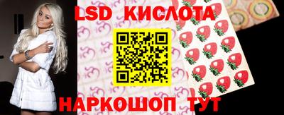 apvp Бийск