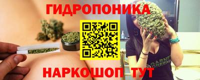 ГАЛЛЮЦИНОГЕННЫЕ ГРИБЫ Берёзовский