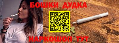 apvp Бийск