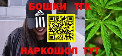 apvp Бийск